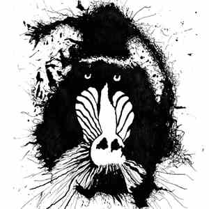 Feral Ωhms - Feral Ωhms download flac mp3