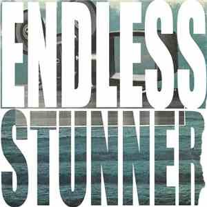 gods  - Endless Stunner download flac mp3