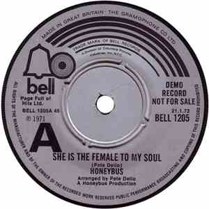 Honeybus - She Is The Female To My Soul / For Where You Have Been download flac mp3