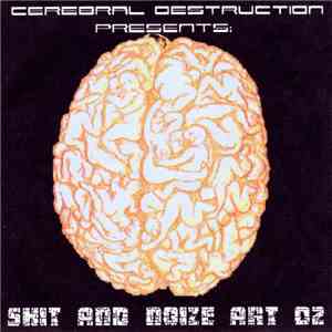 Various - Shit And Noize Art 02 download flac mp3