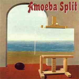 Amoeba Split - Amoeba Split download flac mp3
