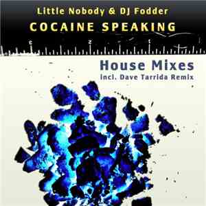 Little Nobody & DJ Fodder - Cocaine Speaking - House Mixes download flac mp3