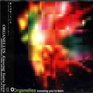 Organelles - Knowing You're Born download flac mp3