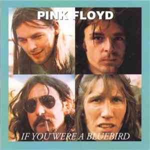 Pink Floyd - If You Were A Blue Bird download flac mp3