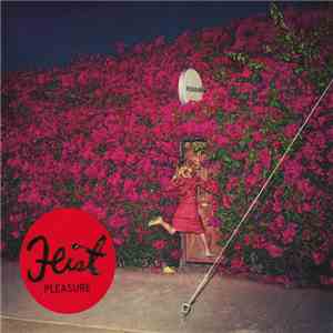 Feist - Pleasure download flac mp3