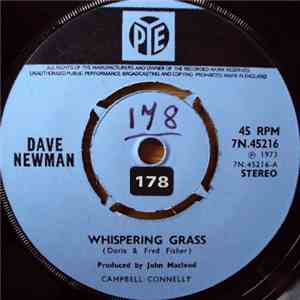 Dave Newman  - Whispering Grass download flac mp3