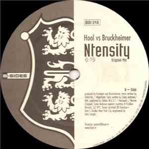 Hool vs. Bruckheimer feat. Corey Andrews - Ntensity download flac mp3