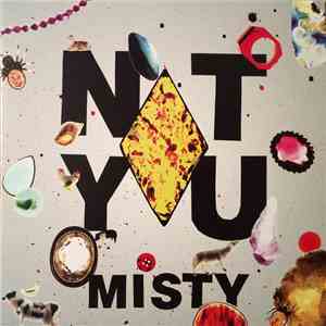 Not You - Misty download flac mp3
