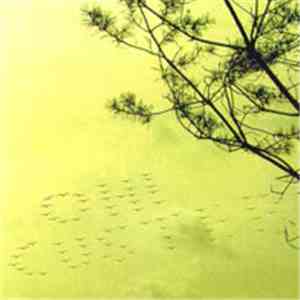 Oh! Custer - States download flac mp3