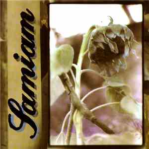 Samiam - Samiam download flac mp3