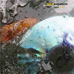 Artificial Memory Trace - Paraexpanzin + Sonafon download flac mp3