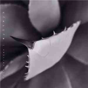 Dirk Serries - Epitaph download flac mp3
