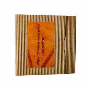 Inorganic Blossoming - Autumndrones download flac mp3