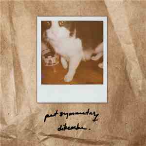 Pet Symmetry / Dikembe - Pet Symmetry / Dikembe download flac mp3