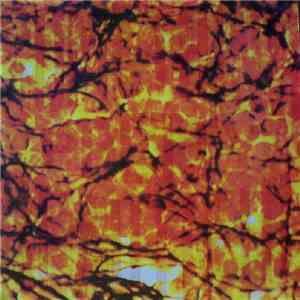 Something Pretty Beautiful - Something Pretty Beautiful download flac mp3