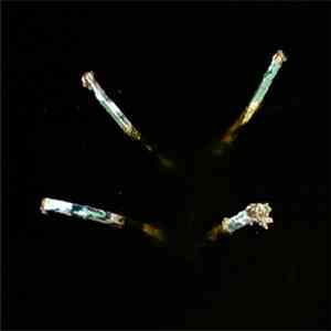 Vic Rawlings / Mike Bullock - On That Which Is Best And The Best That Can Be Done Under The Circumstances download flac mp3