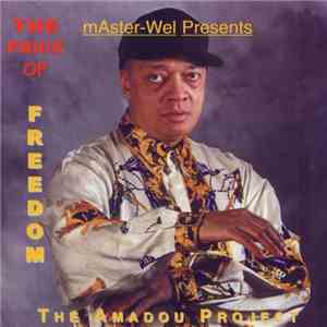 Weldon Irvine - Amadou Project - Price of Freedom download flac mp3