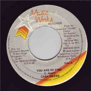 Carl Meeks - You Are So Fine download flac mp3
