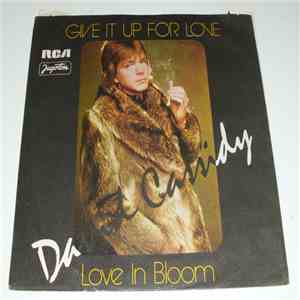 David Cassidy - Get It Up For Love download flac mp3