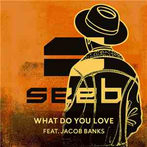 SeeB Feat. Jacob Banks - What Do You Love download flac mp3