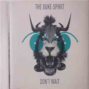 The Duke Spirit - Don't Wait download flac mp3