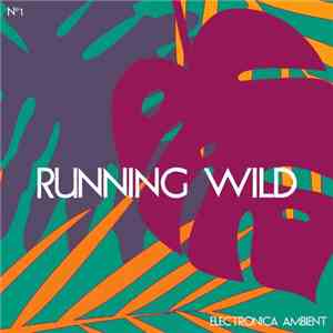 Various - Running Wild Electronica Ambient, Vol. 1 download flac mp3