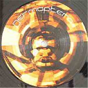 Dermaptera - Dermaptera 7 download flac mp3