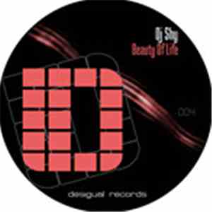 DJ Shy  - Beauty Of Life download flac mp3