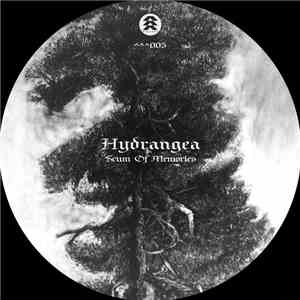 Hydrangea - Scum Of Memories EP download flac mp3