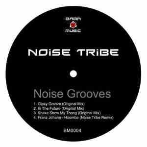 Noise Tribe - Noise Grooves download flac mp3