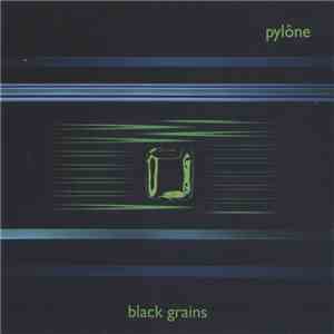 Pylône - Black Grains download flac mp3