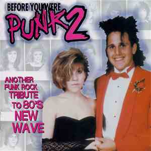 Various - Before You Were Punk 2 download flac mp3