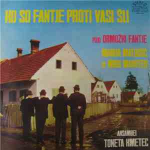 Ansambel Toneta Kmetec - Ko So Fantje Proti Vasi Šli download flac mp3