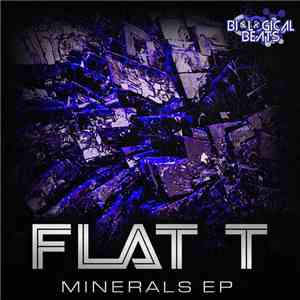 Flat T - Minerals EP download flac mp3