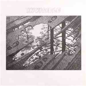 Invisible  - Invisible download flac mp3