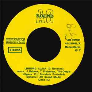 J. Bakkes, T. Pietersma, The Cosy's - Limburg Alaaf / Ich Bön Ein Mösj download flac mp3