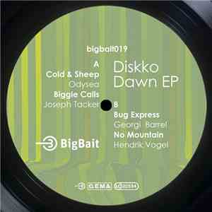 Various - Diskko Dawn EP download flac mp3