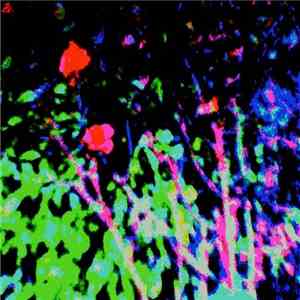 Flowers  - TSA Suite download flac mp3
