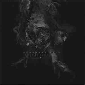 Funerary Call - The Mirror Reversed II download flac mp3