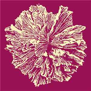 LTO - No Pasa Nada download flac mp3