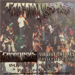 Painmask - We Live The Lies download flac mp3