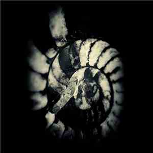 uncertain - Amniotic Fluid EP download flac mp3