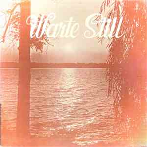 Various - Warte Still download flac mp3