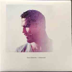 Pieter Embrechts - Onderwoud download flac mp3
