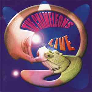 The Chameleons - Live At The Academy download flac mp3