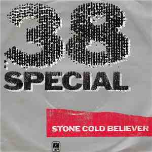 38 Special  - Stone Cold Believer download flac mp3