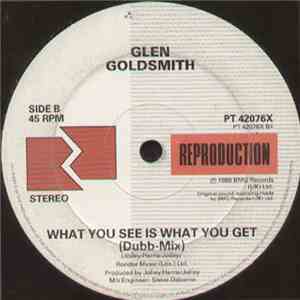 Glen Goldsmith - What You See Is What You Get (Remix) flac mp3 download