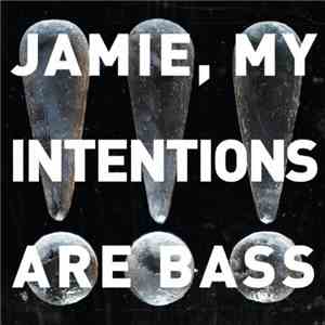 !!! - Jamie, My Intentions Are Bass download flac mp3