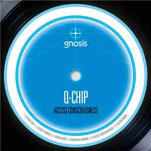 Q-Chip - Access Consciousness download flac mp3