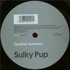 Sulky Pup - Cardinal Numbers download flac mp3